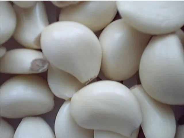 
Factory wholesale garlic essential oil used in hair treatment 