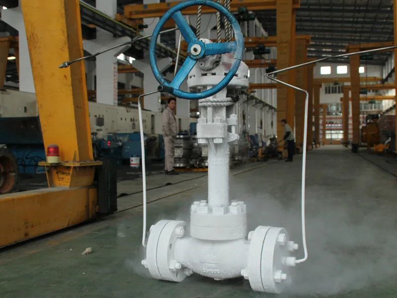 WZLD  Stainless steel Cryogenic Globe Valve