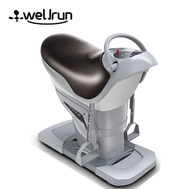 
Horse Riding Exercise Machine Home Gym Equipment Horse Training Equipment Horse Stable 