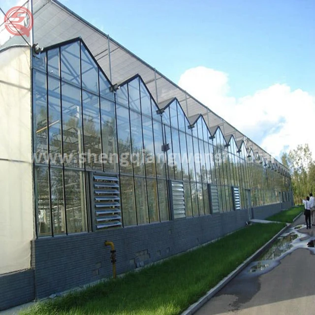 Клубничный поликарбонатный лист для теплиц, сельское хозяйство, зеленый дом