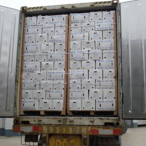 Factory Wholesale 2018 New Crop below market price for fresh ginger