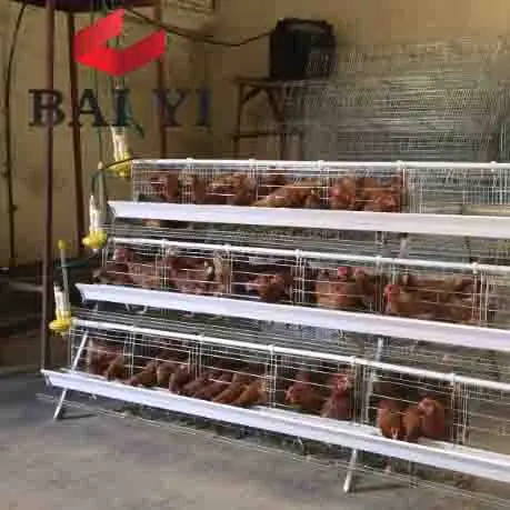 Wholesale Cheap Industrial Chicken Hen House For Sale( A & H type layer chicken cage,good quality)