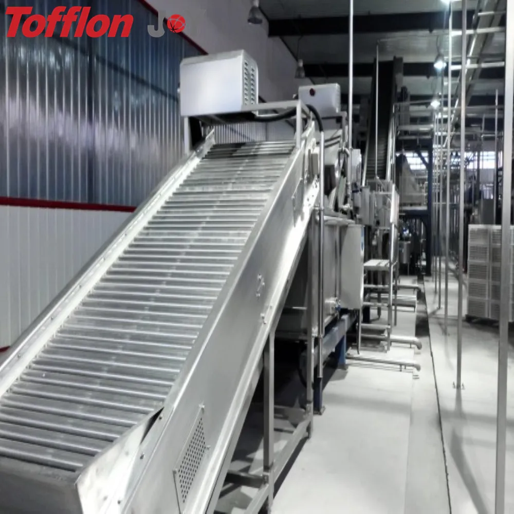 Complete turnkey peach/apricot/plum fruit processing line