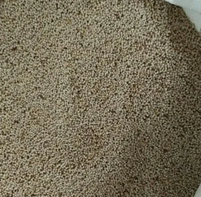 
Wholesale Natural White perilla seed for Oil 