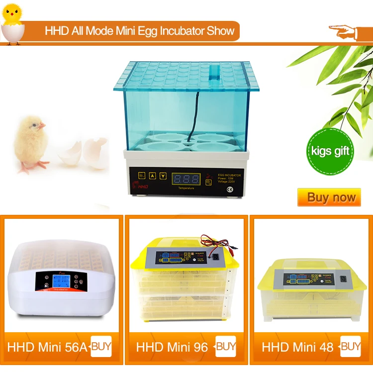 Snail Eggs For Sale Small Egg Incubator Price Hatcheries Eggs For Sale