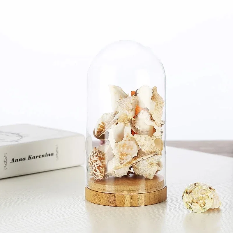 Preserved rose display wholes ale glass dome