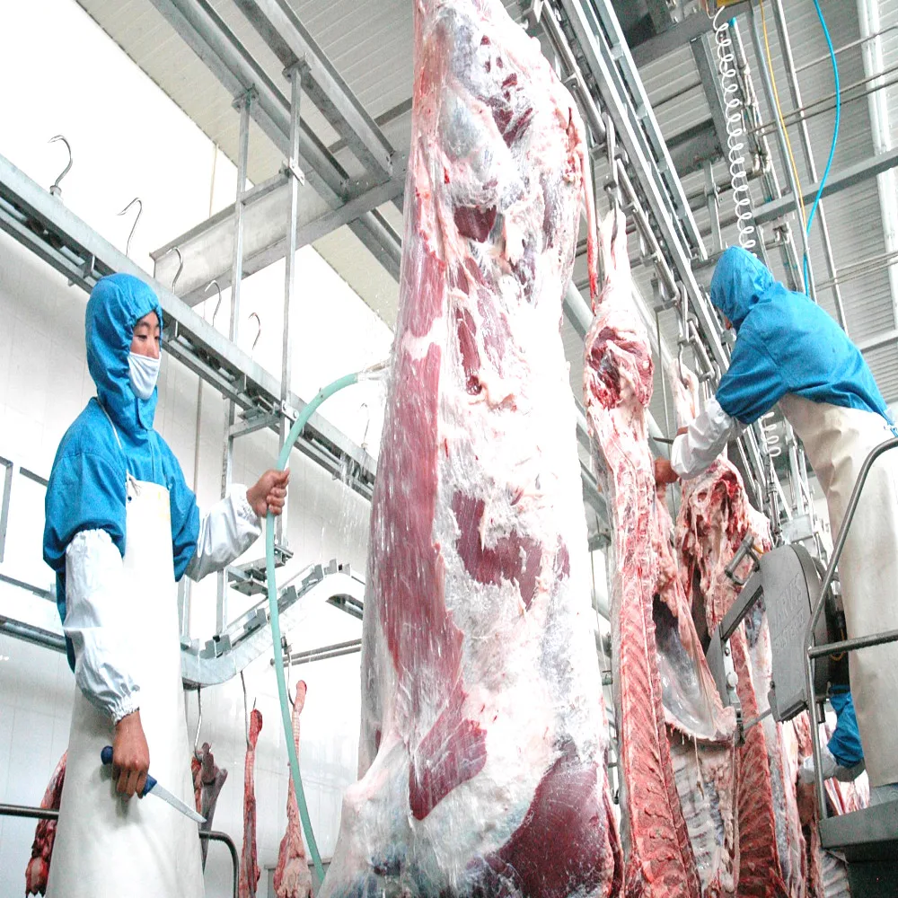 Cow Abattoir Machine Halal Slaughter Equipment Cattle Butcher Line for Meat Beef Production Processing
