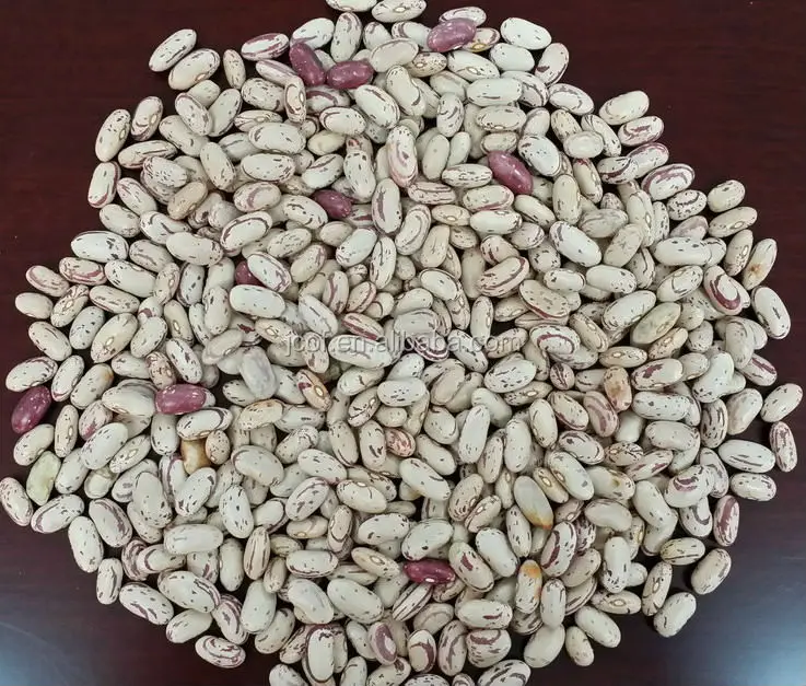 SA origin sugar bean 780