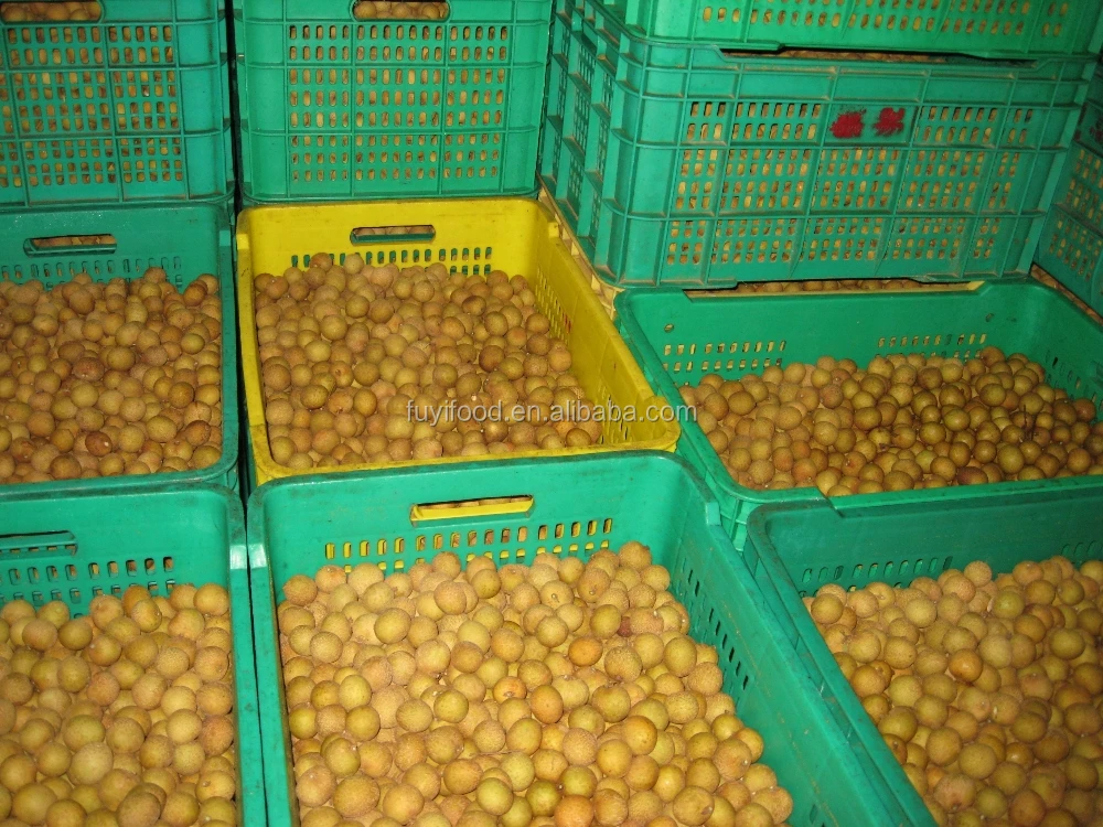 Orchard fresh longan