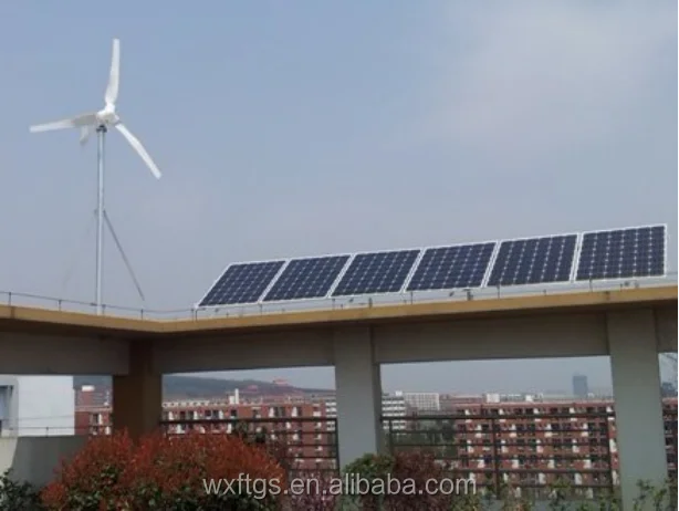 1kw 48v 96v wind dynamo producer