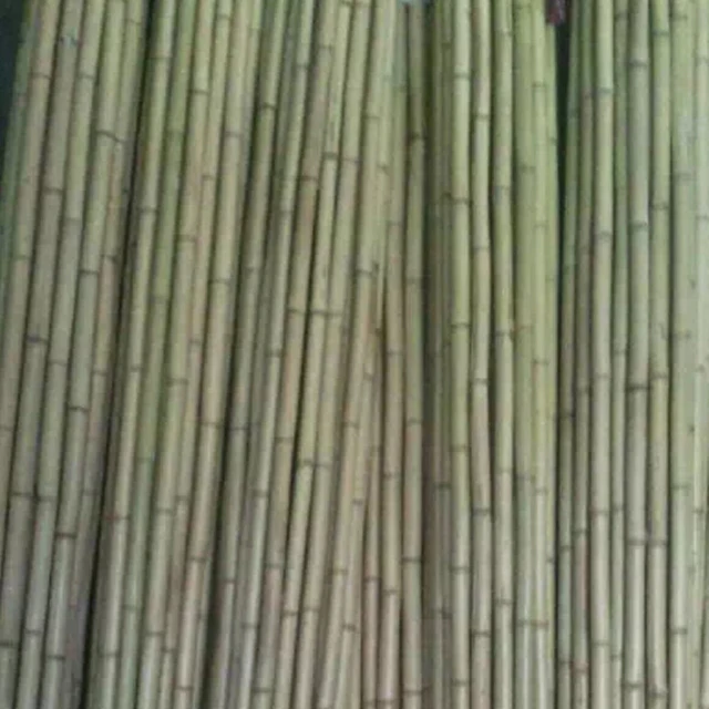 Натуральные сухие прямые и сильный бамбуковые поляки для продажи