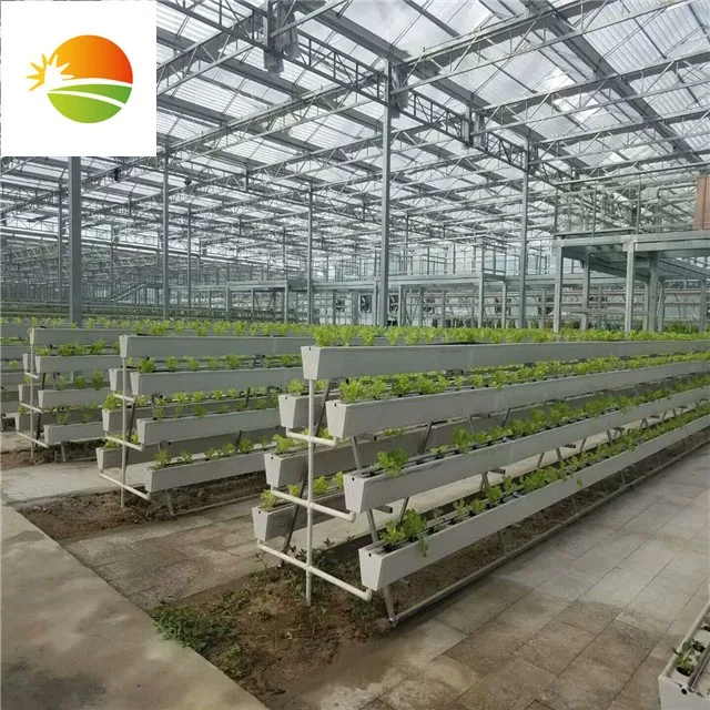 
Low cost high quality hydrophonic greenhouse 