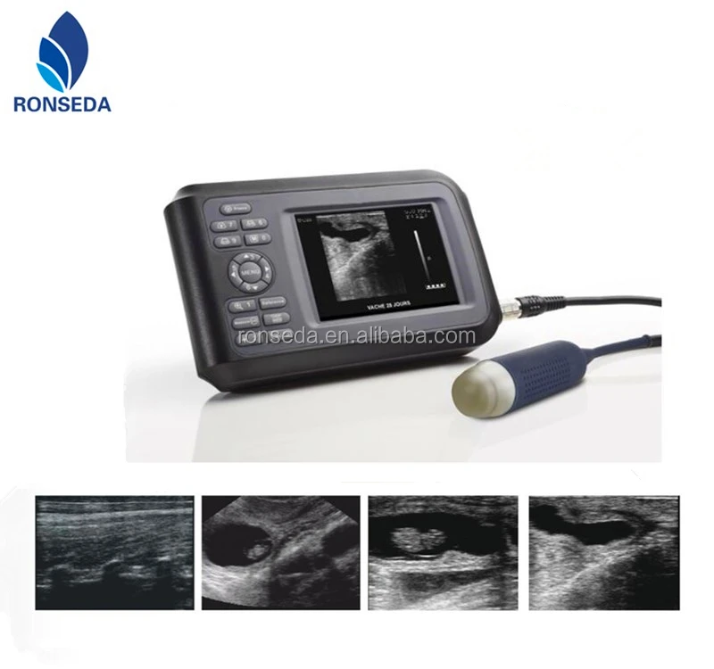 Diagnosis Equipment convex,rectal Optional probe Veterinary Ultrasound Scanner