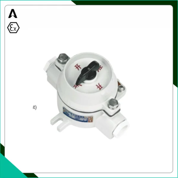 SW Explosion proof lighting switch explosion proof lamp switch 10
