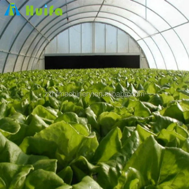 Polytunnel парниковых pollytunnel поли туннельная теплица