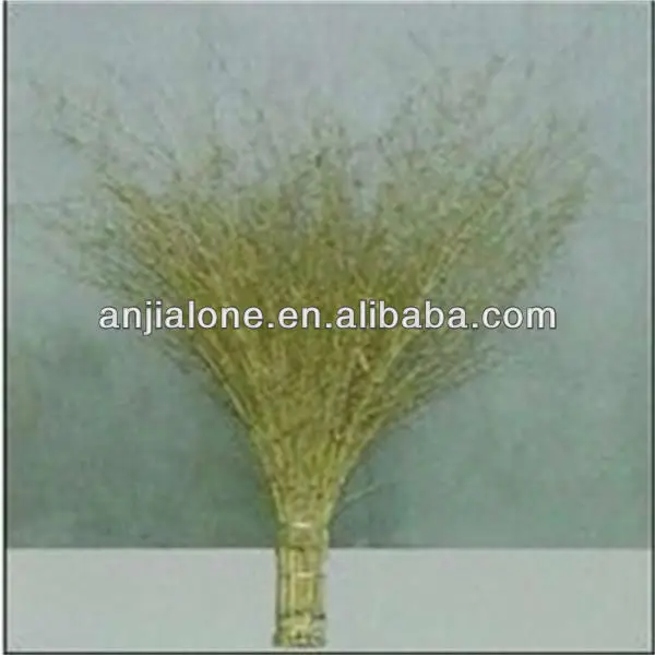 WY T-001 china bamboo broom Italy bamboo broom