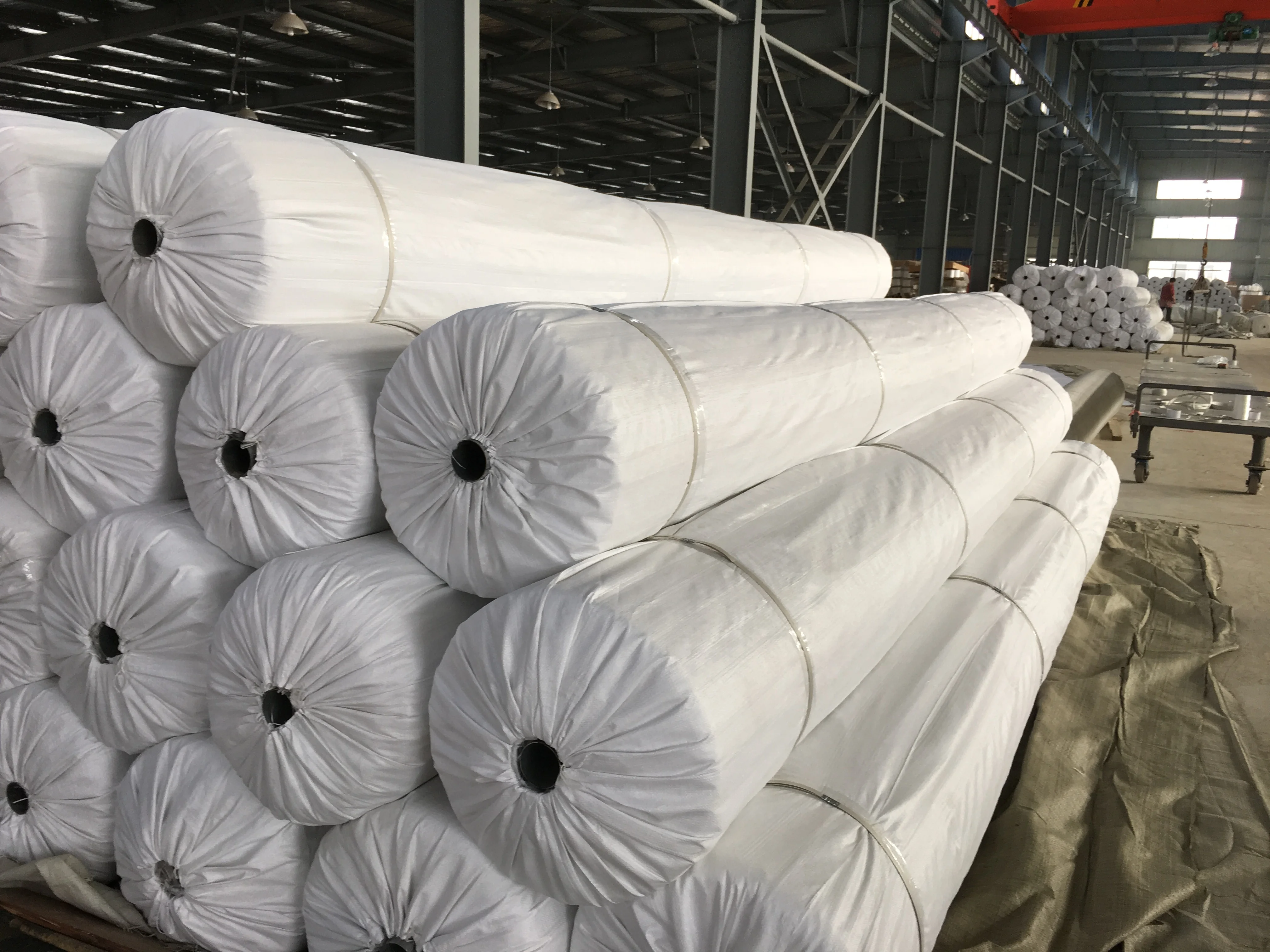 Knitted Polyester Geogrid Composite Nonwoven Geotextile For Road Paving Material