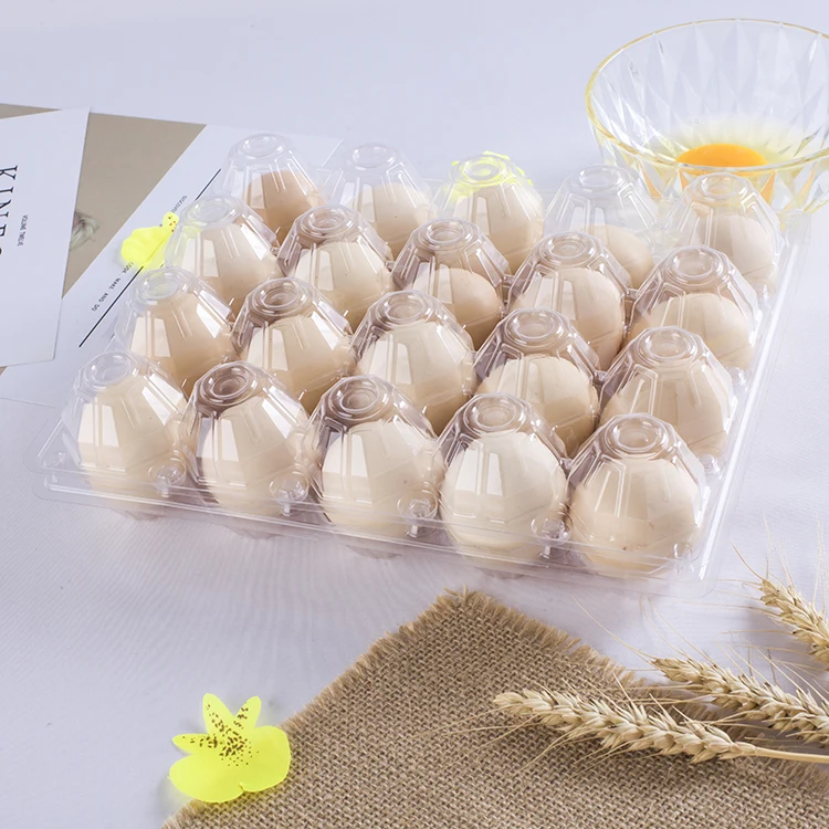
wholesale 20 holes plastic chicken egg tray 