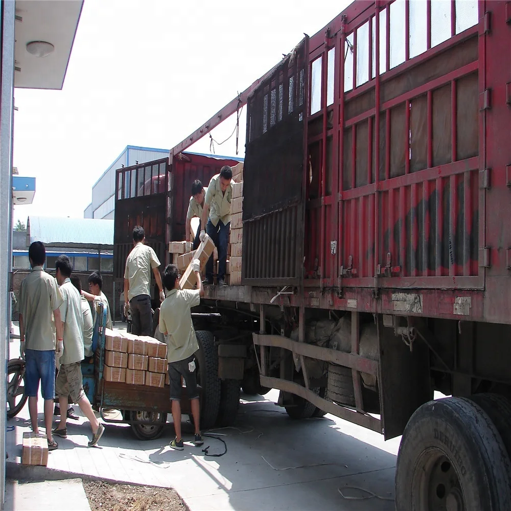 Medical teaching Human medical intravenous injection training hand model for nurse training