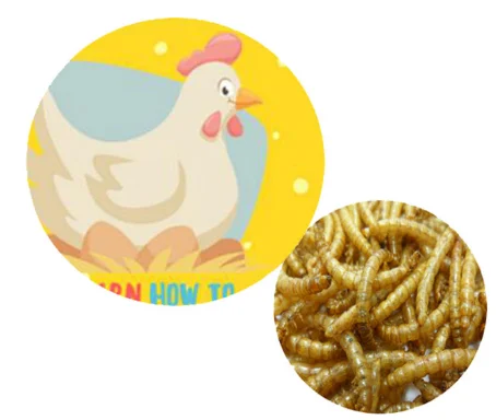 Bird feed dried mealworm 1kg color pouch
