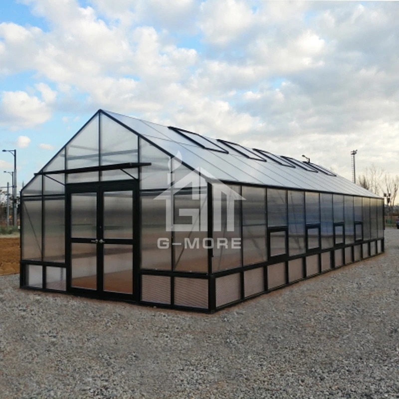 G-MORE Durable Quick Assembly aluminum frame Farming Greenhouse