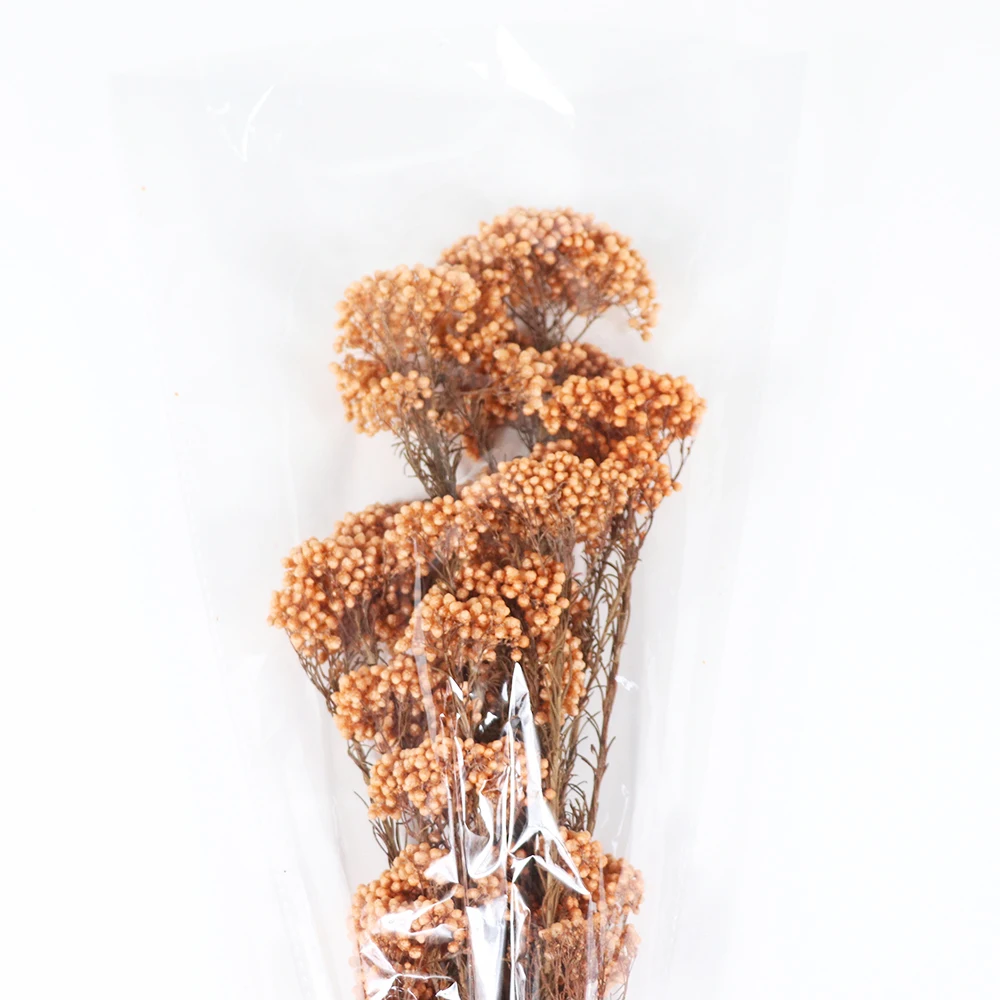 
Preserved Flowers Wholesale from Yunnan 