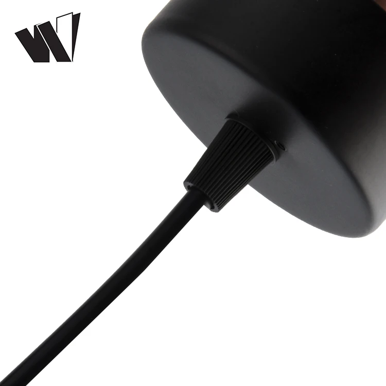 Most popular COB 3w 6w 8w 12w 20w 25w 30w 35w surface moving ceiling linear led pendent light
