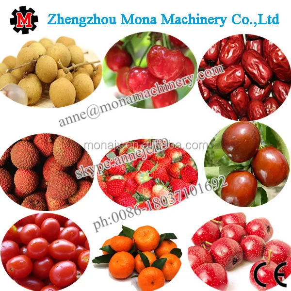 
Blueberry sorting machine/cherry tomato sorter / fruit grader sizer 