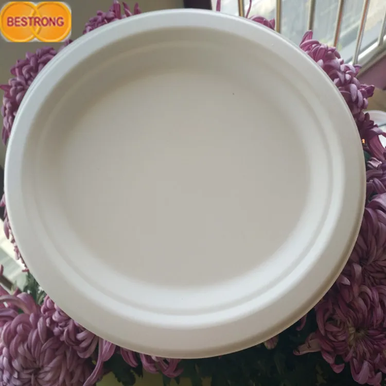 Environmental Bagasse Pulp for Tableware With Factory Price