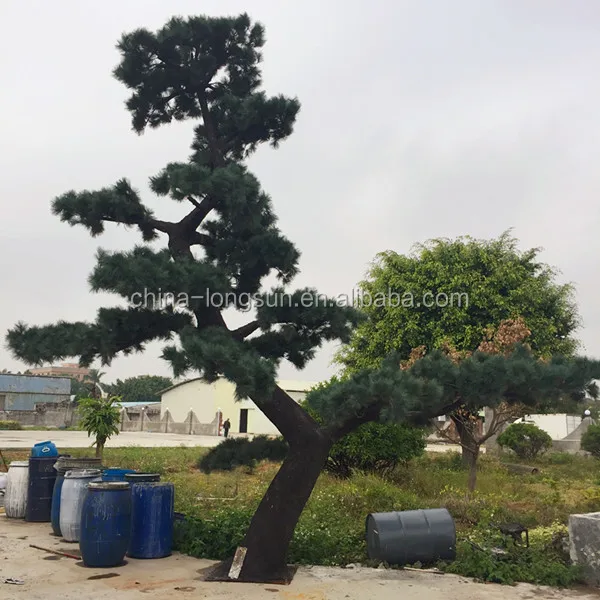 LSD-1222517 Лучшее качество высокая имитация искусственный декоративные сосна