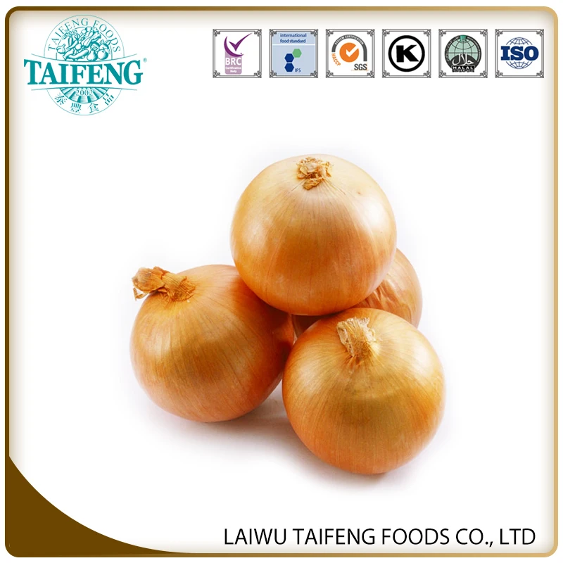 For eating or wholesale New Crop Fresh Yellow onion