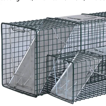 BSTW over 10 years experience factory for Steel Outdoor Live Animal Trap