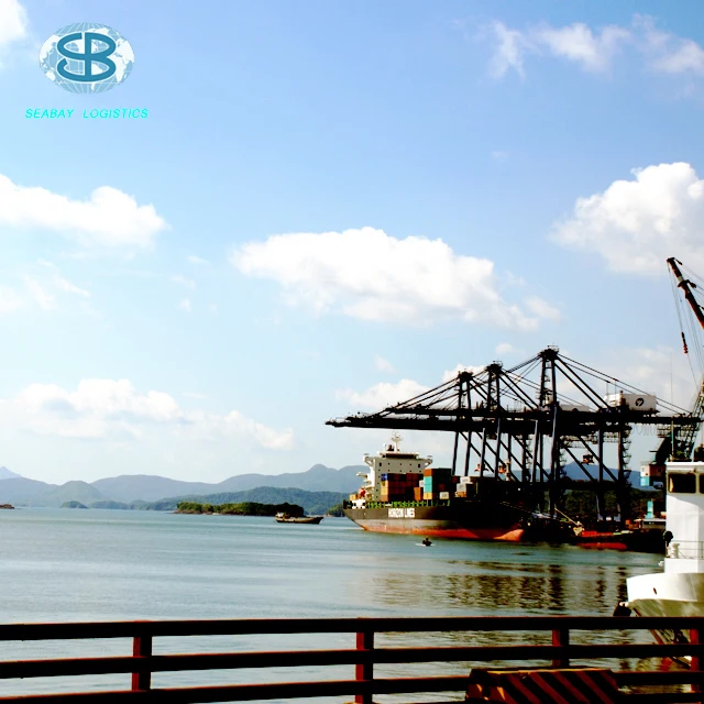 Top professinal emc shipping line from China to worldwide