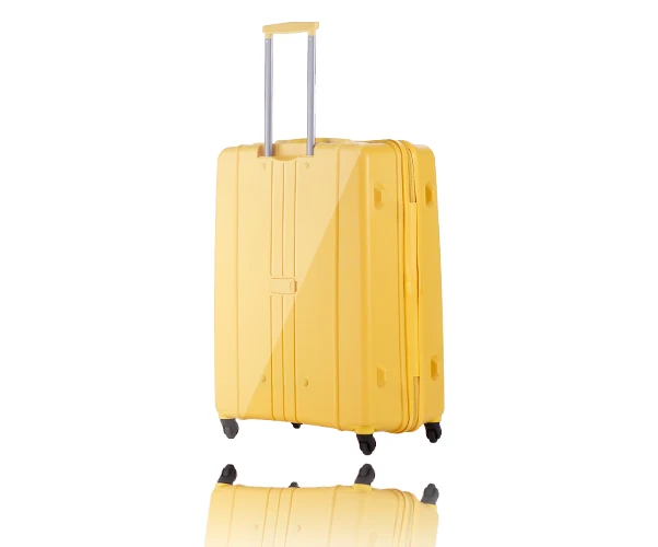 
2019 Wholesale custom new style pp pilot suitcase hard shell luggage <span style=