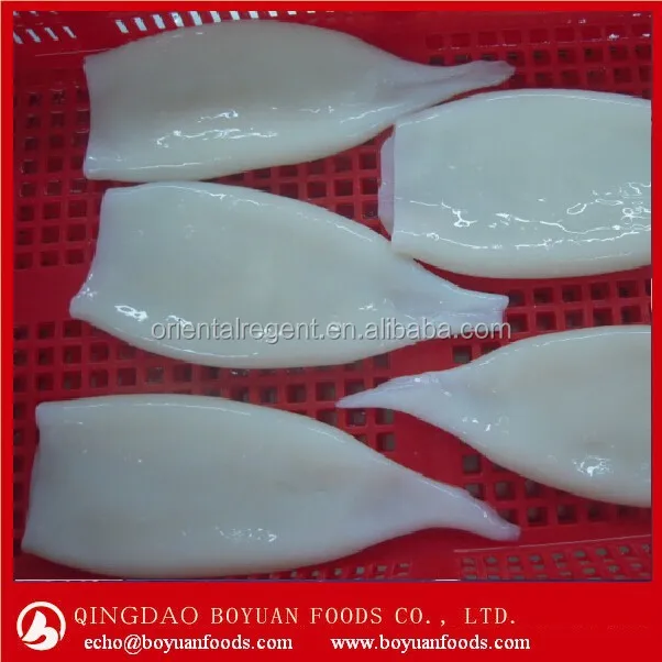 
exporting block frozen squid tube chinese factory 