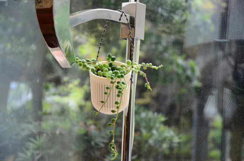 
Hanging basket flower pot, plastic soft flowerpot for garden, plastic garden product flowerpots for nurseries 