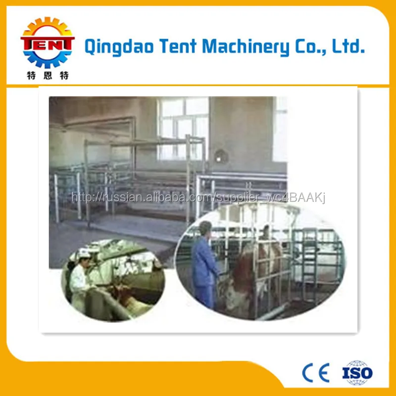 Доброкачественный бойня оборудование для вола