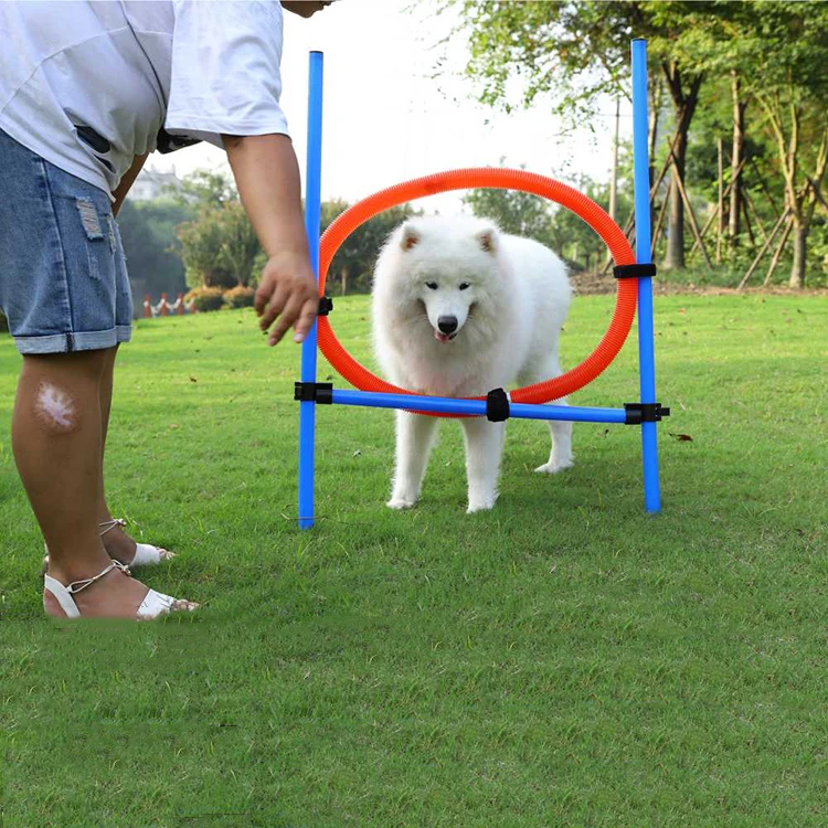 Профессиональное оборудование для дрессировки собак, кольцо для дрессировки собак