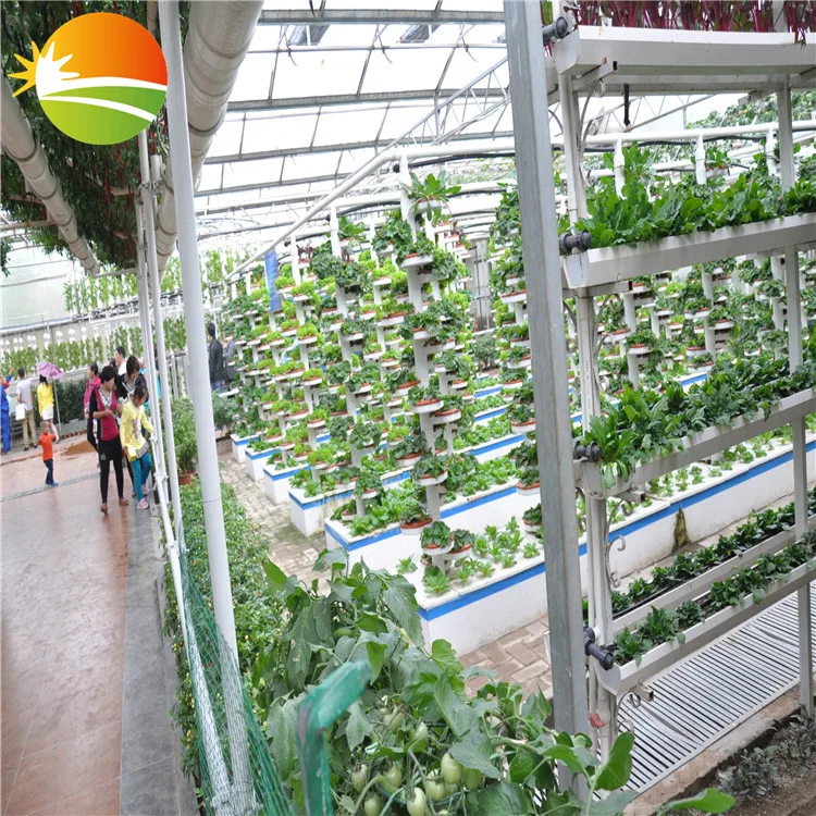 hydroponic greenhouse China Gold Supplier