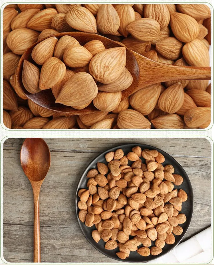 organic apricot seeds benefit apricot kernels in shell for sale