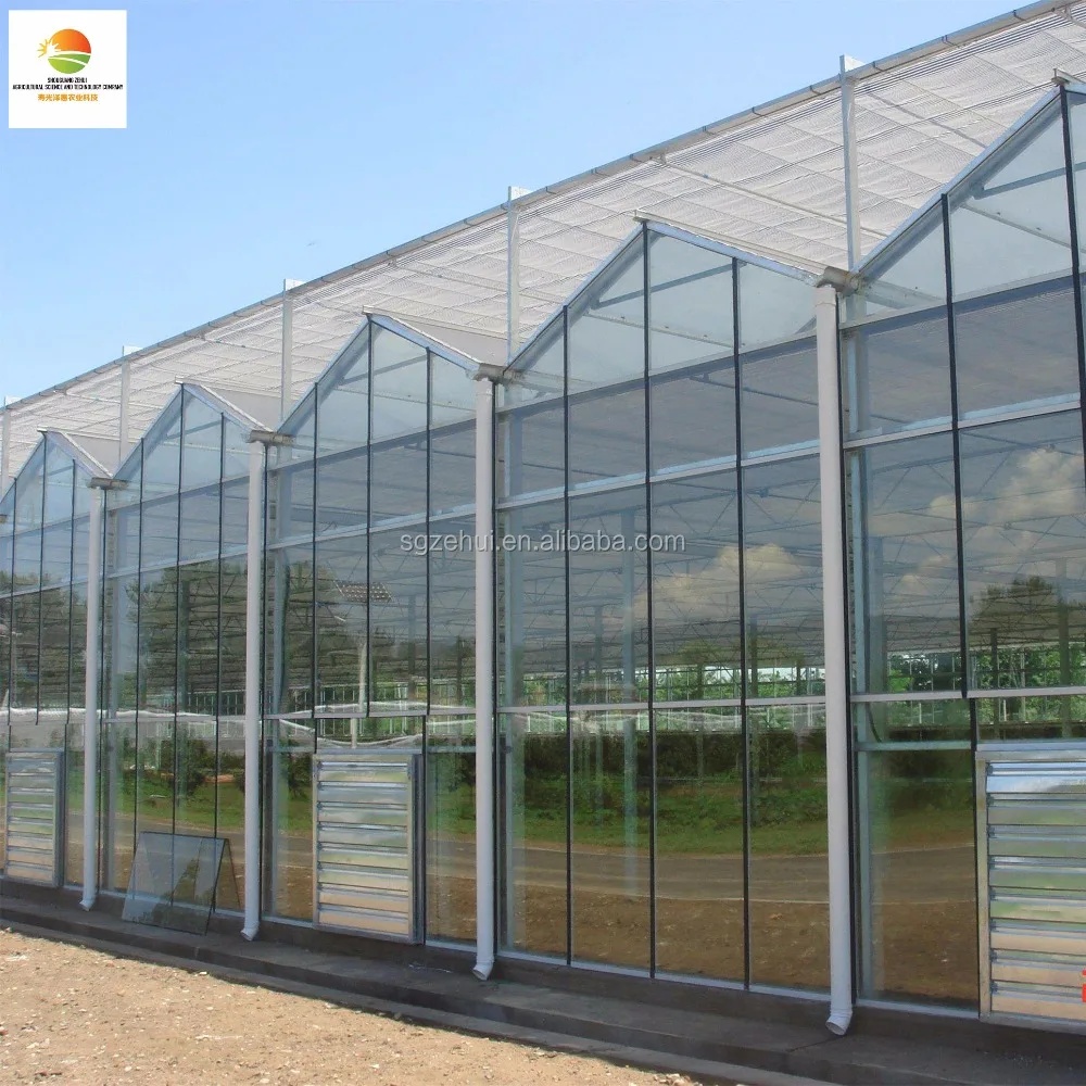 Multi-span intelligent commercial glass greenhouse
