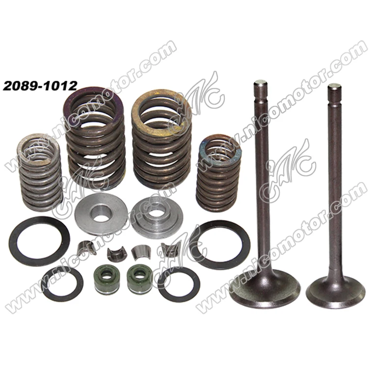 CG125 CG150 CG 200 Valve Parts Accessories Spring of Motorcycle engine
