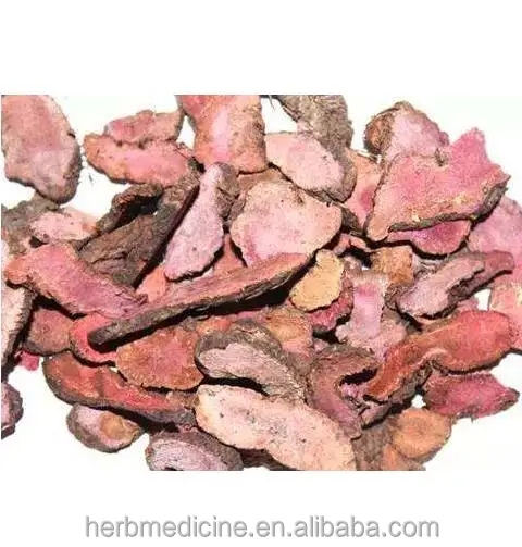 
Natural dried Polygonum bistorta L rhizome roots slices raw bio herb 