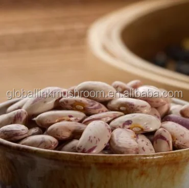 Round Light Speckled Kidney Beans LSKB for India | Pakistan | Yemen