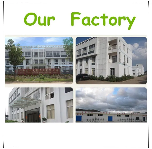 CAS No.8024-37-1 Of curcuma comosa For Health Care