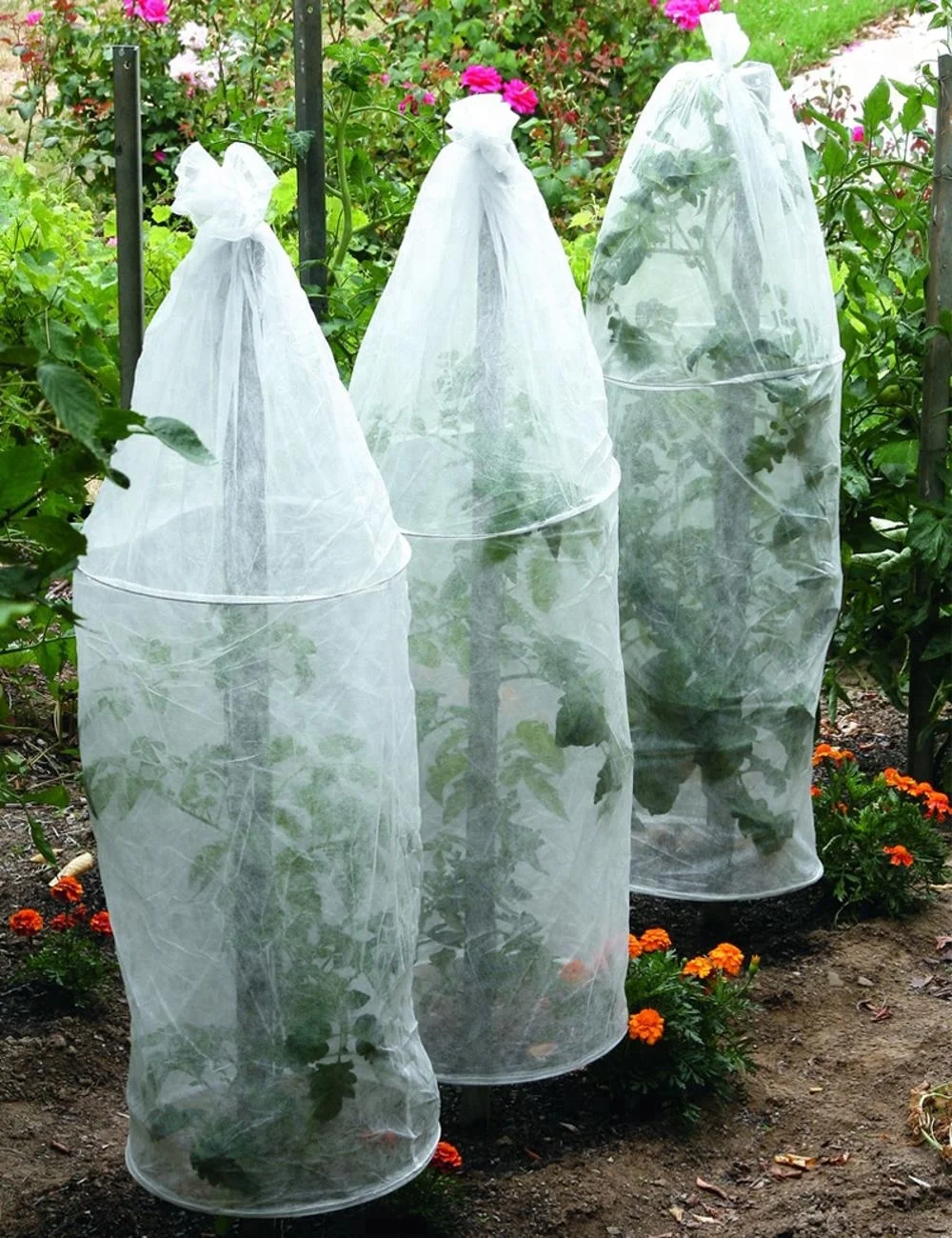biodegradable breathable agriculture non-woven tubular fabrics tomato plant protective cover
