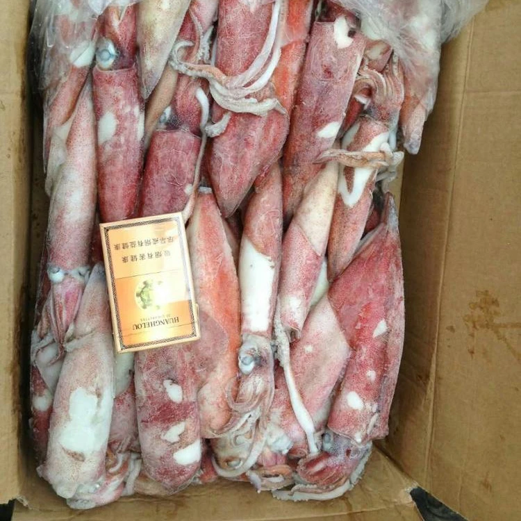 wholesale squid loligo seafood loligo