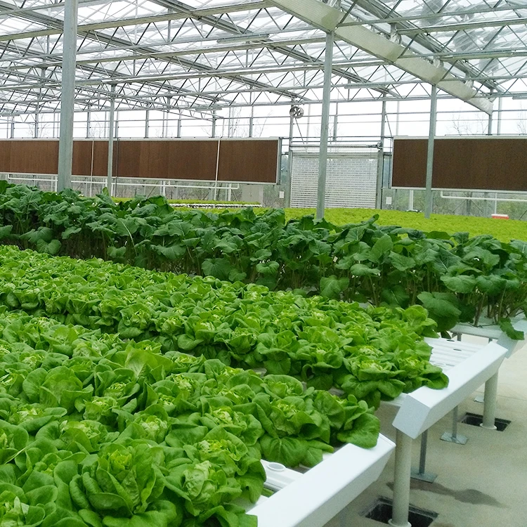 
Wholesale 4x8 Hydroponic Grow Table Cultivation System 