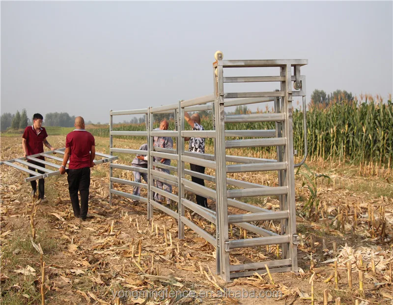  Cattle hurdle corral yard panel