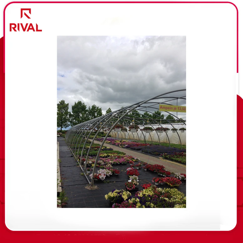 Wholesale China Hot Polycarbonate Greenhouse Film